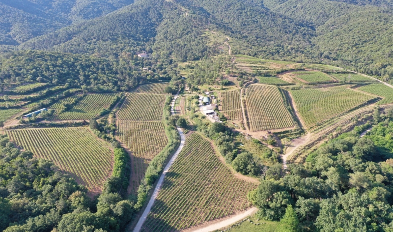 Domaine Val d'Astier Domaine Val d'Astier