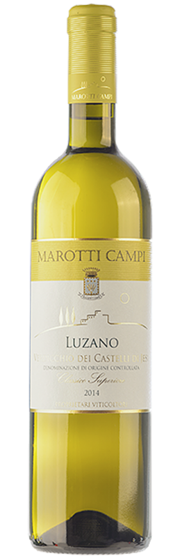 Verdicchio di Jesi Classico Superiore Doc Luzano 2017 Verdicchio di Jesi Classico Superiore Doc Luzano 2017