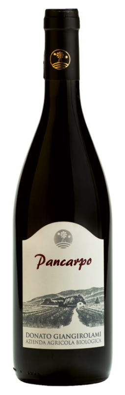 Pancarpo Rosso Lazio Igp 2015 Pancarpo Rosso Lazio Igp 2015