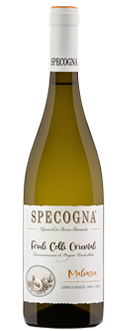 Malvasia Doc Malvasia Doc