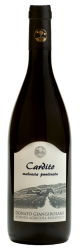 Malvasia Puntinata Igp Lazio Cardito 2017 Malvasia Puntinata Igp Lazio Cardito 2017