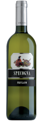 Friulano Doc Collio 2017