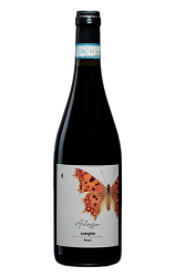 Camparo Adesso Rosso Langhe doc 