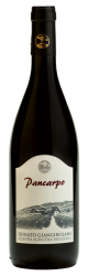 Pancarpo Rosso Lazio Igp 2015 Pancarpo Rosso Lazio Igp 2015