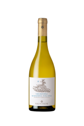 Vermentino Maremma Toscana doc 2024 Vermentino Maremma Toscana doc 2024