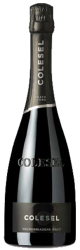 Prosecco Valdobbiadene Superiore Brut Docg 2017 Prosecco Valdobbiadene Superiore Brut Docg 2017