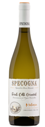 Malvasia Doc Malvasia Doc