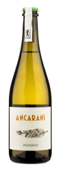 2017 INDIGENO TREBBIANO RAVENNA IGP PET NAT 2017 INDIGENO TREBBIANO RAVENNA IGP PET NAT
